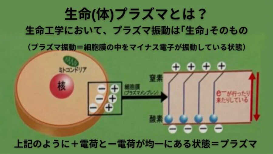 プラズマパルサーの説明